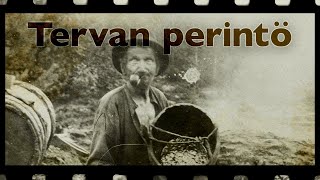 Tervan perintö