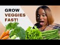 Fast Growing Veggies | Get Food In 60 Days