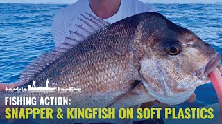 Snapper and Kingfish on Soft Plastics with Dan Hutchinson screenshot 2