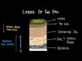 Understanding Soil and Its Formation