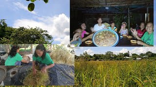 Download Lagu Gumawa ng Pinipig at nagluto ng matamis na meryenda MP3 Download Lagu Gumawa ng Pinipig at nagluto ng matamis na meryenda MP3