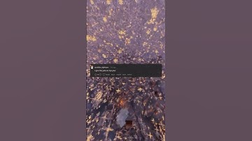 What do you call two monkeys that share an Amazon account