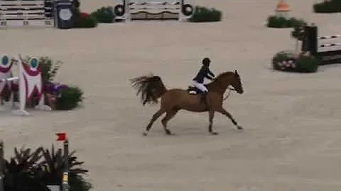 Video of FIGEAC DE REVE ridden by VIRGINIA INGRAM ...