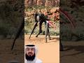 ما أغرب تلك اللحظات التي تربك الفكر وت شعل التساؤلات اكسبلور لايك اقتباسات  