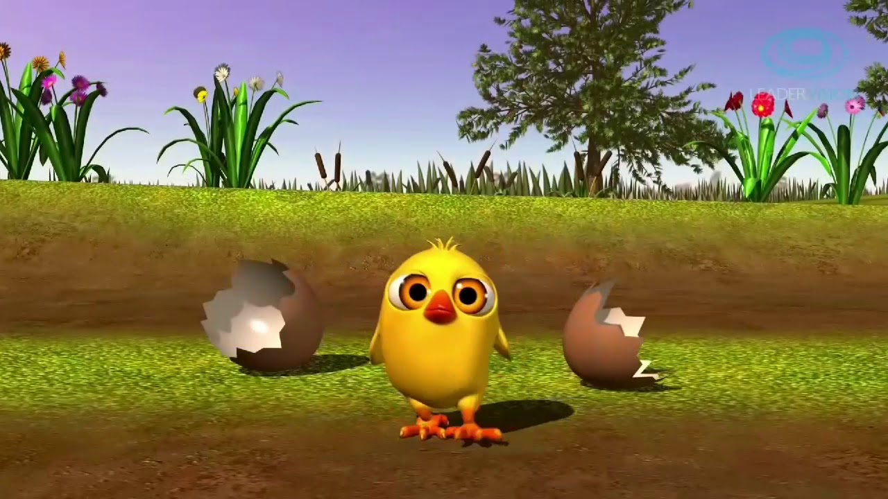 El pollito pio 3DCanciones de la