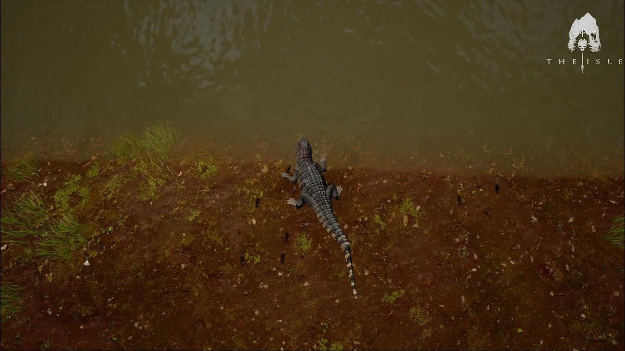 The Isle( Part 1) It's hard out here for a baby Croc - YouTube