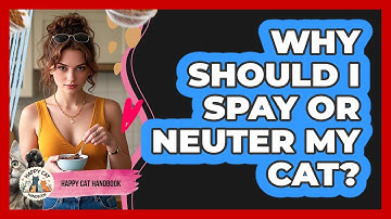 Why Should I Spay Or Neuter My Cat?