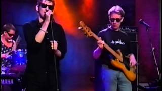 Shane MacGowan and the Popes - Whisky Nancy [8-8-95] chords