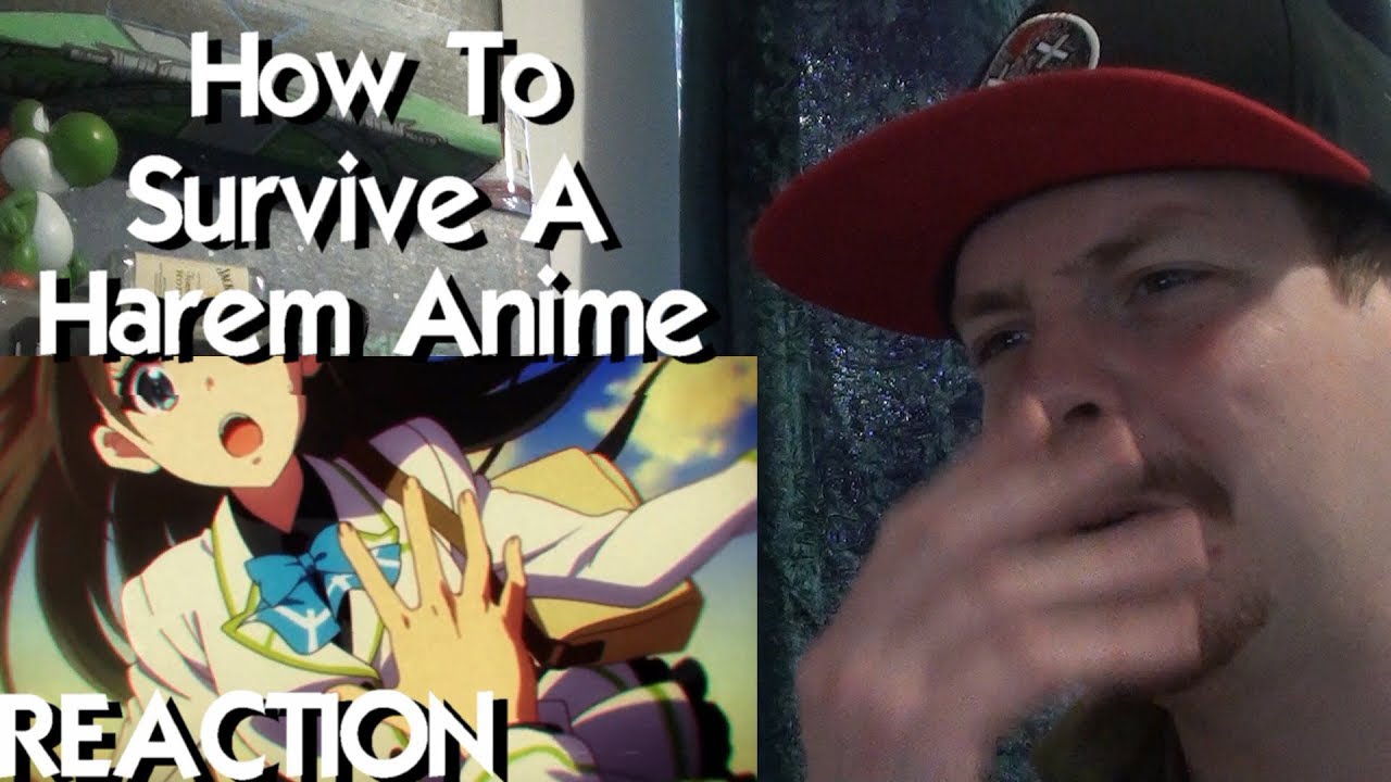 How to Survive a Harem Anime - Public Service Anime : r/anime