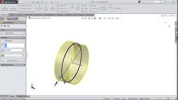 Feed Check valve- ring {gland}