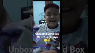 Unboxing Blind Box Mr DIY Lagi! (Semoga Tidak Dapat Yang Sama Ya Guys!)
