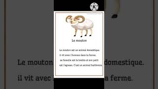 وضعية ادماجية في الفرنسية Le mouton 🐑