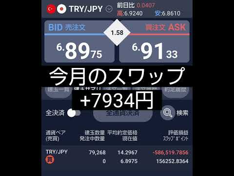 トルコリラ 今月の収支 トルコリラ無限ナンピン６