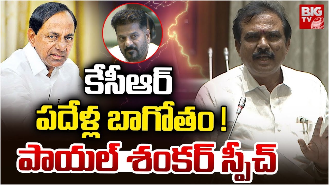 BJP MLA Payal Shankar Assembly Speech | కేసీఆర్  పదేళ్ల బాగోతం ! | KCR | Harish Rao | BIG TV