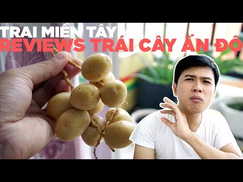 Video Ăn thử trái Chà Là tươi Ấn Độ | Hương Vị Miền Tây - youtube