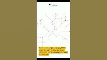 BNB Chain solidifies its status as a top-tier blockchain!