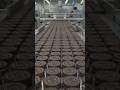 😱 Oreo Biscuit Factory Mein Oreo Biscuit Kaise Banta Hai? | 🏭#OreoBiscuitFactory #FactoryTour #choco