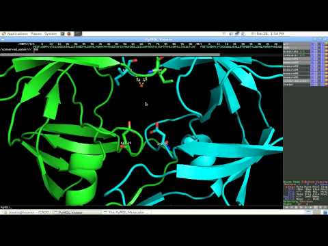 Video: Effekten Av Barndomstrauma, ApoE-genotyp Och HIV-1 Viralt Protein R-varianter På Förändring I Kognitiv Prestanda