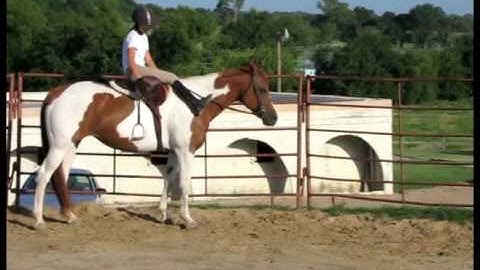 Annie            ***For up-to-date info, price, etc., go to our website***