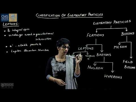 Classification of Elementary Particles  | Jeya P | Department of Physics