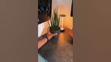 Corner Refresh ✨ w/ @IKEA SKÅDIS Pegboard, black, 76x56 cm #homestudio #workspace #desksetup