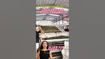 #fcnfm Preserve the Natural Flavor of Fruits & Vegetables: The Benefits of Advanced Drying Technolog