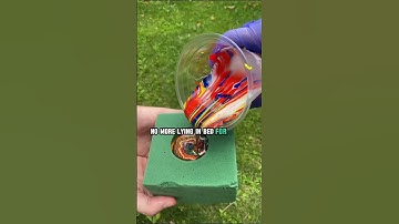 Real life cheat codes! #reddit #askreddit