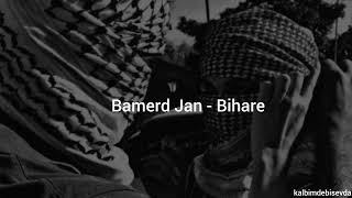 Bamerd Jan - Bihare (speed up) Resimi