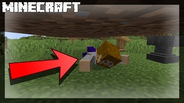 MINECRAFT | How to Crawl! 1.15.2