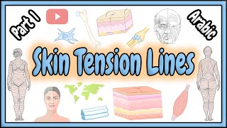 64. Skin Tension Lines || Definition - Origin - Types || خطوط الشد الجلدية