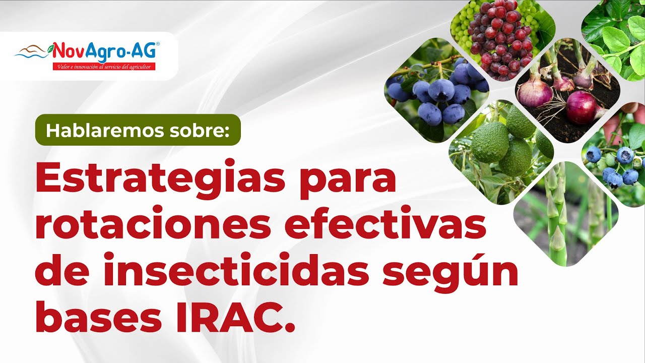 ROTACIONES EFECTIVAS DE INSECTICIDAS Estrategias según bases IRAC