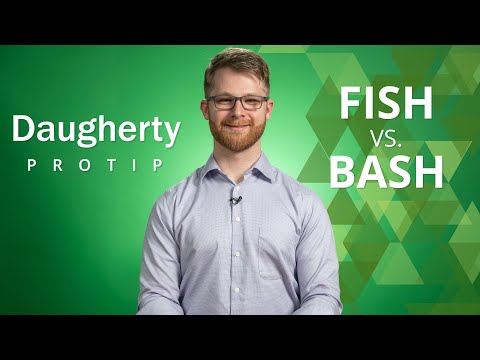 Daugherty ProTip: Fish vs. Bash