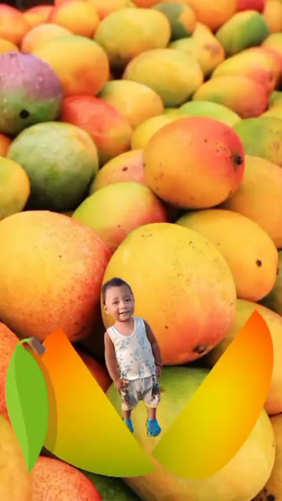 TRENDING MANGO#funny #shorts #reels #video #viralshorts #tiktok #shortvideo