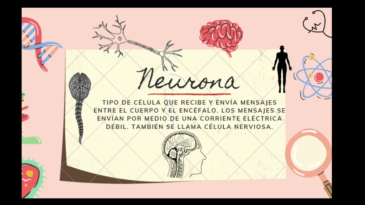 Práctica de Laboratorio La Neurona