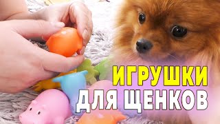 видео: Щенкам шпица 21 день – 3 недели. Учу мужа прикармливать щенков. Игрушки для щенят. Про электрогрелку картинка: Щенкам шпица 21 день – 3 недели. Учу мужа прикармливать щенков. Игрушки для щенят. Про электрогрелку