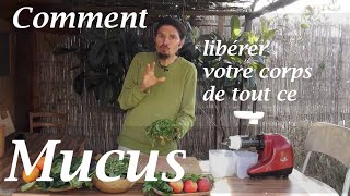 Comment libérer votre corps de tout ce mucus ? - www.regenere.org