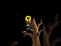 The eagle is stealing the eggs! 😱Can the bird save them? 🐣 #nature #drama #wildlife #shorts #viral