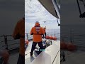 This is how scientists protect whales