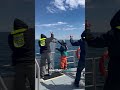 This is how scientists protect whales