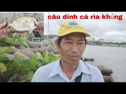 92 trải nghiệm câu điểm thuyền thoại. Dính cá rìa khủng. Điểm dinh cậu ...