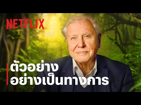 เดวิด แอทเทนเบอเรอห์: ชีวิตบนโลกนี้ (David Attenborough: A Life on Our Planet) |ตัวอย่าง|Netflix