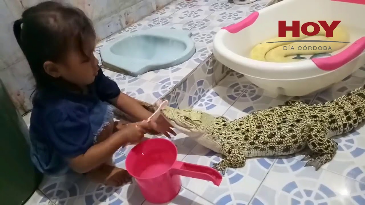 Una niña le cepilla los dientes a un cocodrilo - YouTube