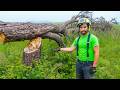 THE WORST WAY TO CUT A TREE | Don't Do This!