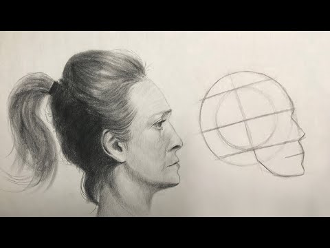 How to draw head using Andrew Loomis method - Profile view