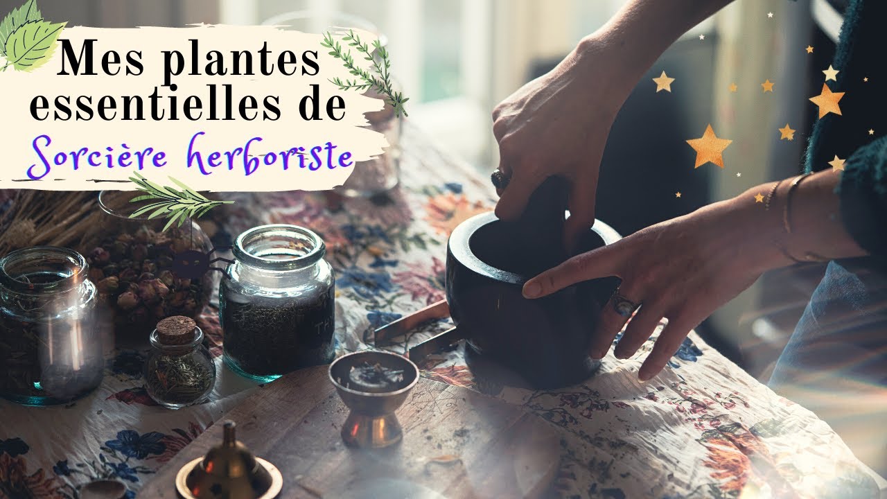 Les petits chaudrons : rituels, élixirs, recettes, potions Par Arlette  Grimm, Ésotérisme, Ésotérisme/Occultisme