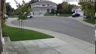 Postal Litterbug