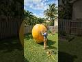 Turning Gaint mango Into Japanese Traditional House