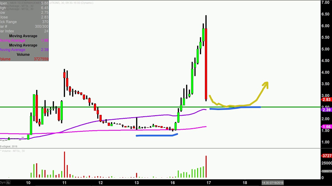 Mer Stock Chart