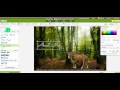 How To Make A Layout For Howrse Part 1