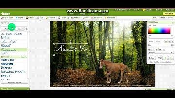 How To Make A Layout For Howrse Part 1